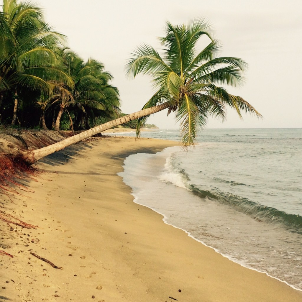 puerto-rico-tourism-rincon-beach