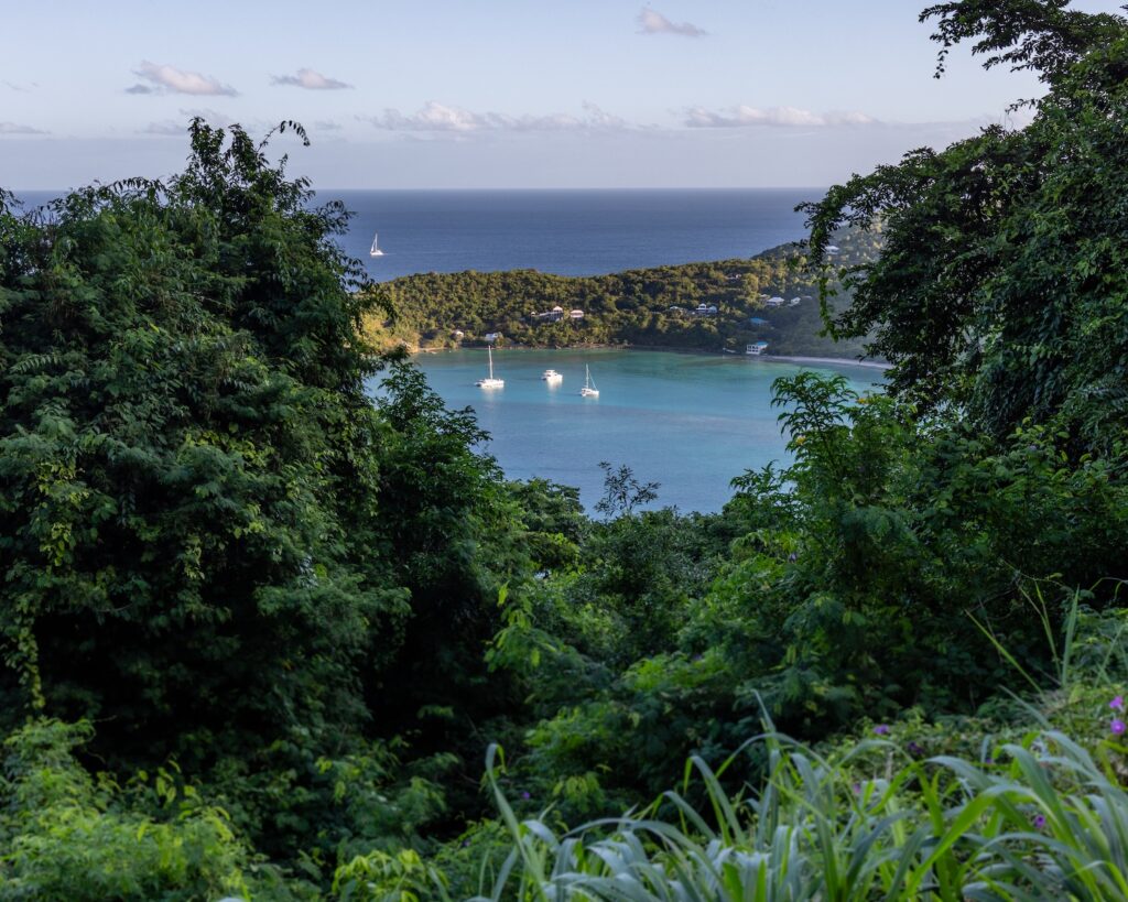 brewers bay and sailboats tortola