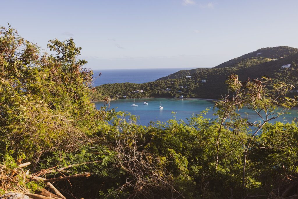 brewers bay tortola