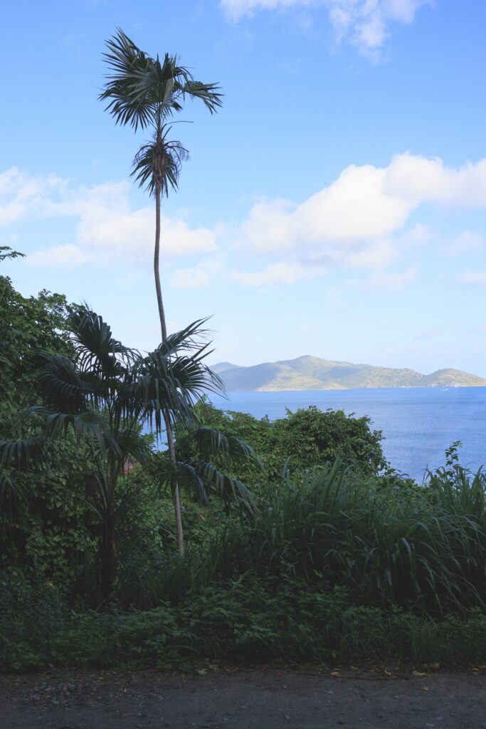 looking over to Jost Van Dyke BVI