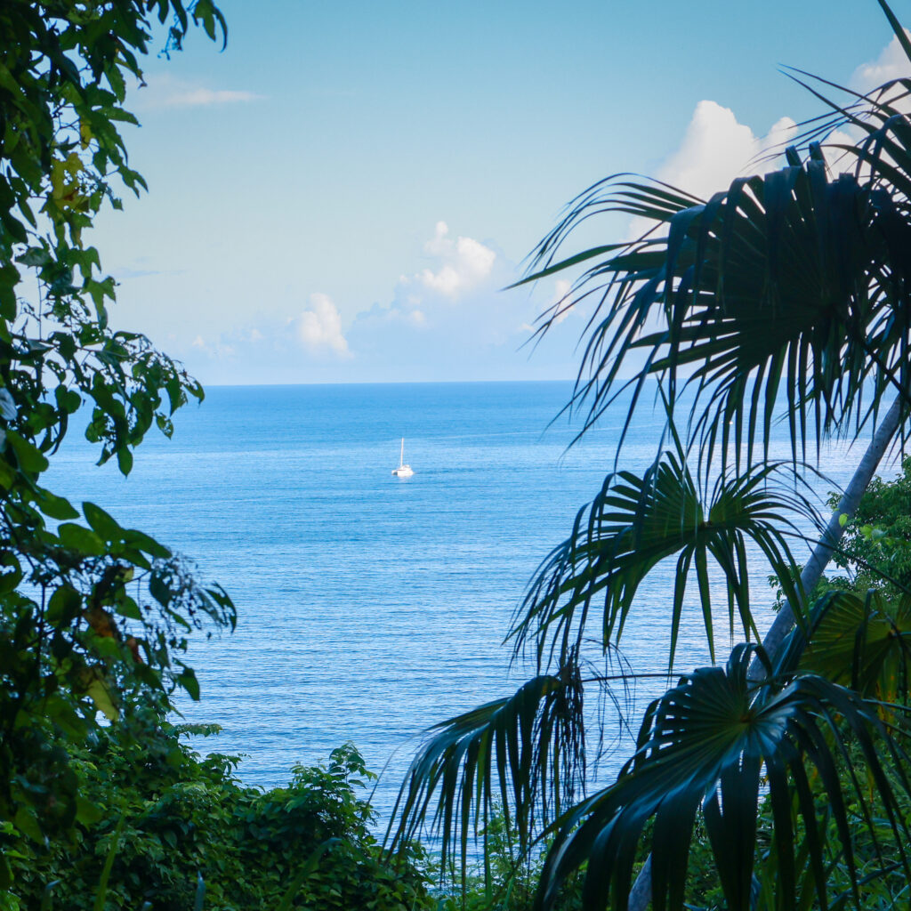 tortola sail boat