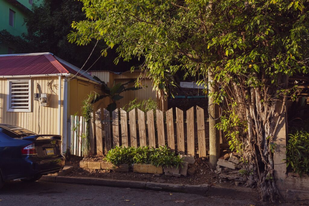 road town morning light and front yard