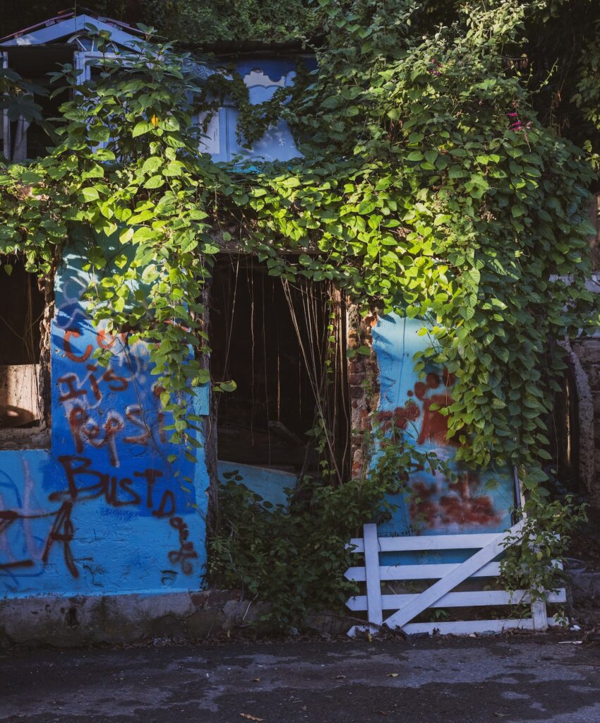 road town tortola bvi graffiti