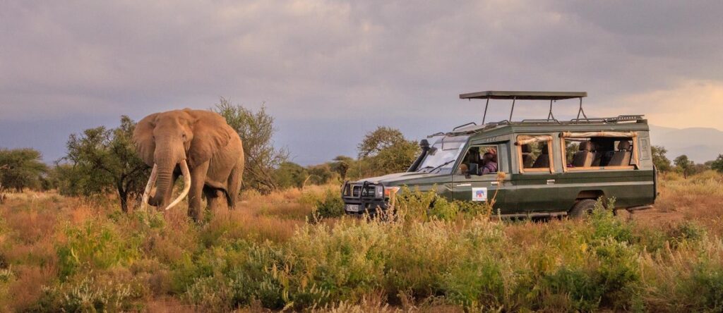 craig amboseli tusker elephant garden camp, photo by mark hayward